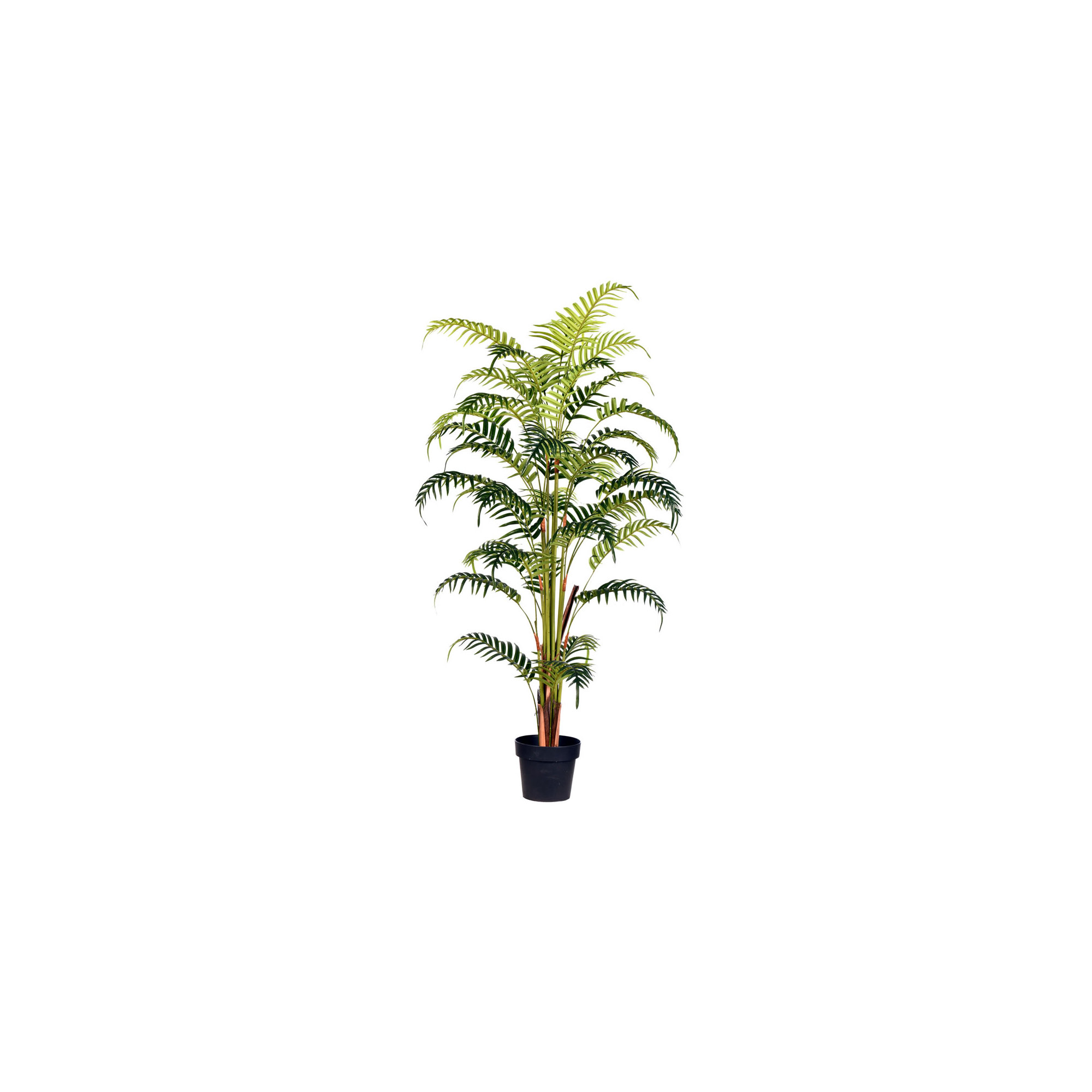 Faux Palm Plant in Pot, 59" H x 18" W x 18" D