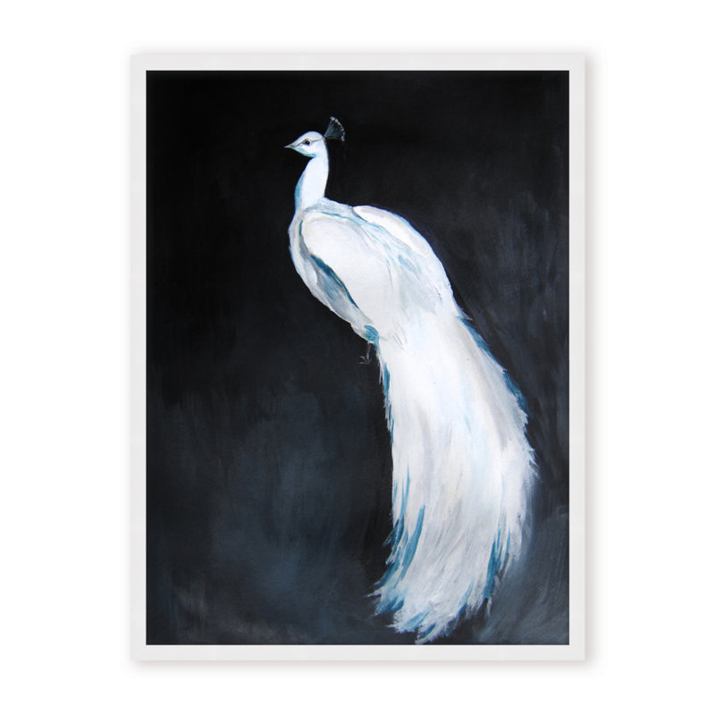 Nature Inspired Alabaster Majesty: White Peacock Against The Night, Framed Matted Print, 30" H x 24" W x 1.125" D, Black