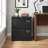 23.6" Wide Lockable 2-Drawer Lateral File Cabinet-2093469181