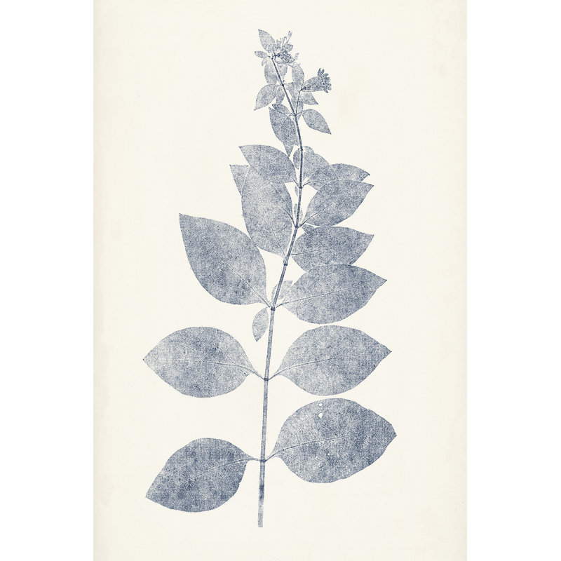Navy Botanicals IX by Vision Studio - Painting, 30 cm H x 20 cm W, Black Floater Framed