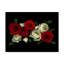 «Red and White Roses» par Dosta, impression sur toile tendue-29224489