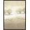 Cemented Trees Print by Ryan Brown