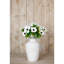 Anastasija Arrangement