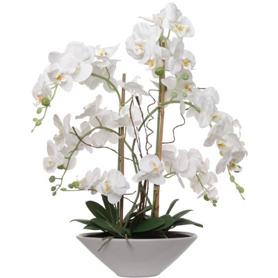 Silk Daisy Arrangement in Vase