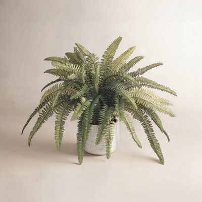 14'' Faux Fern Plant in Stone Pot