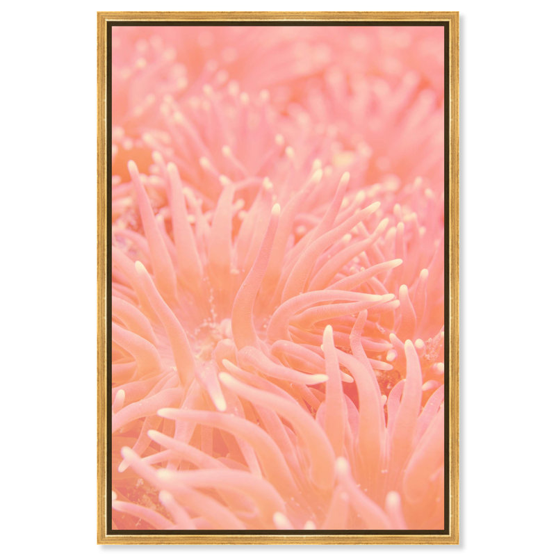 Deep Sea Flowers Print by Oliver Gal, 16"H x 11"W, Gold Floater Frame