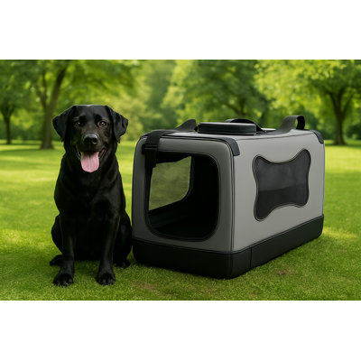 Caisse grise pour chien grise