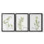 Brindille fraîche - persil sur toile tendue avec châssis - 3 pièces-1115344175-1115344174