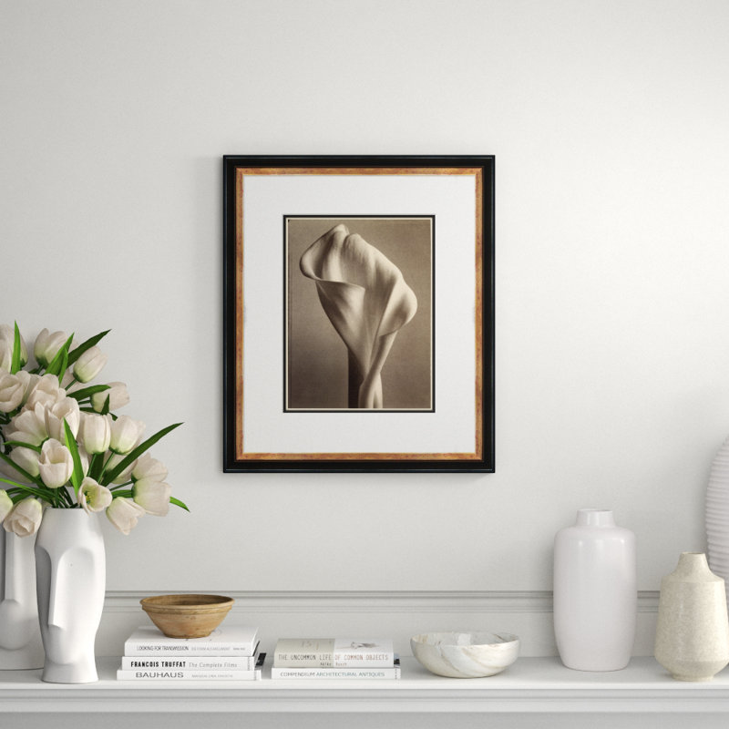 Sepia Flowers 17 Giclee Print by Soicher Marin Archives
