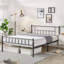 Delaenie Metal Platform Bed-471997039-534920298