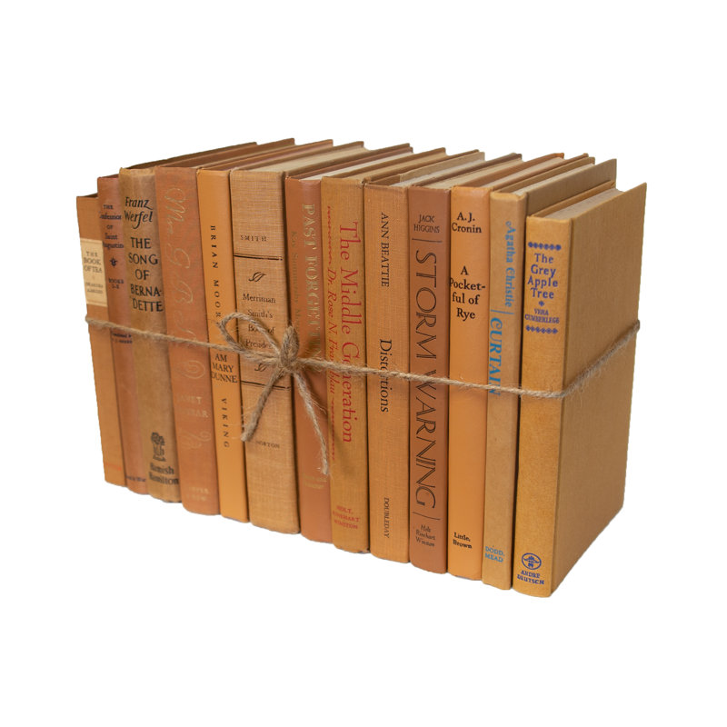 ColorPak Caramel Decorative Book