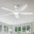 Kiry 60'' Ceiling Fan with LED Lights-1122804041