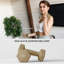 Dumbbell Set