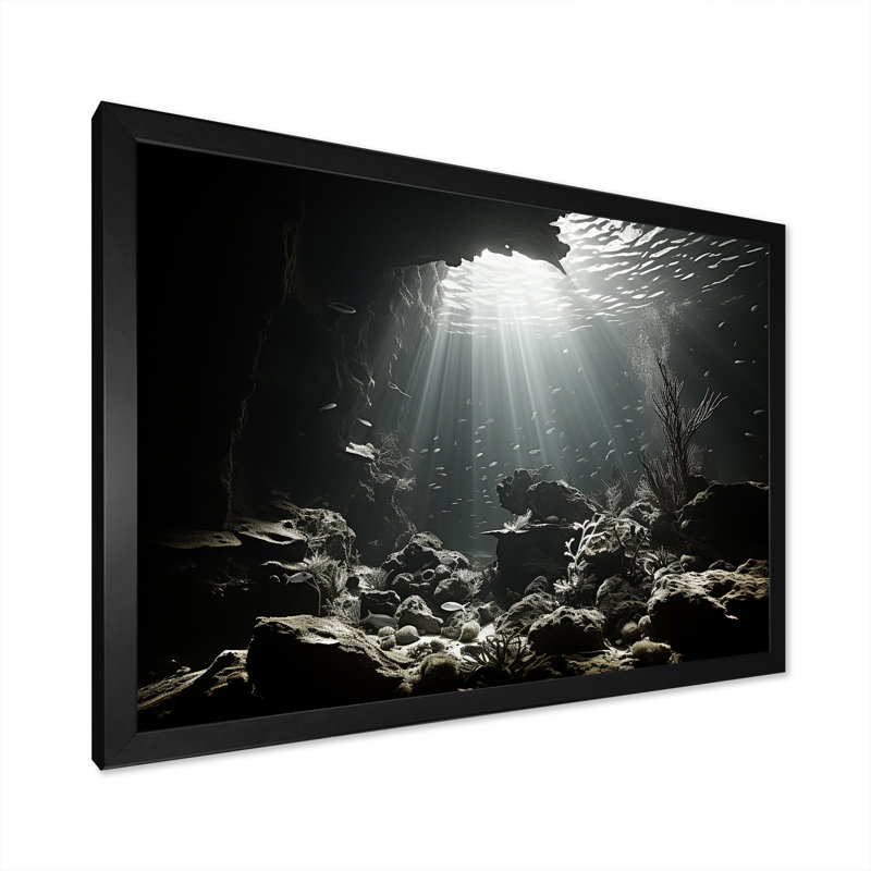 «Black and White Underwater Coral World - Coastal Coral Under Water», art mural encadré, Cadre simple noir