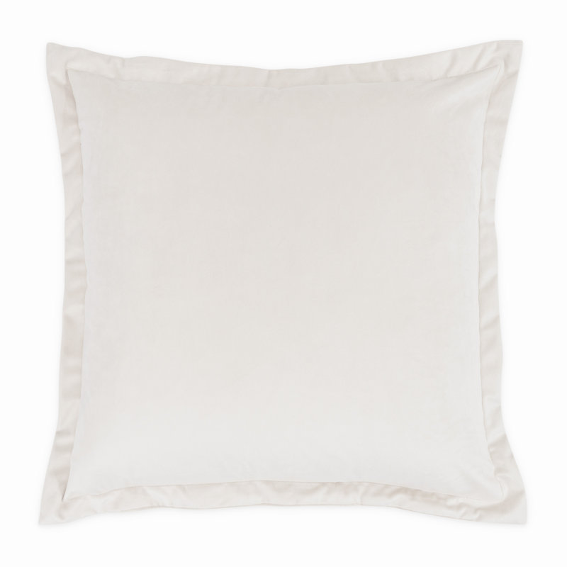 Conner 20" Velvet Throw Pillow, Cloud