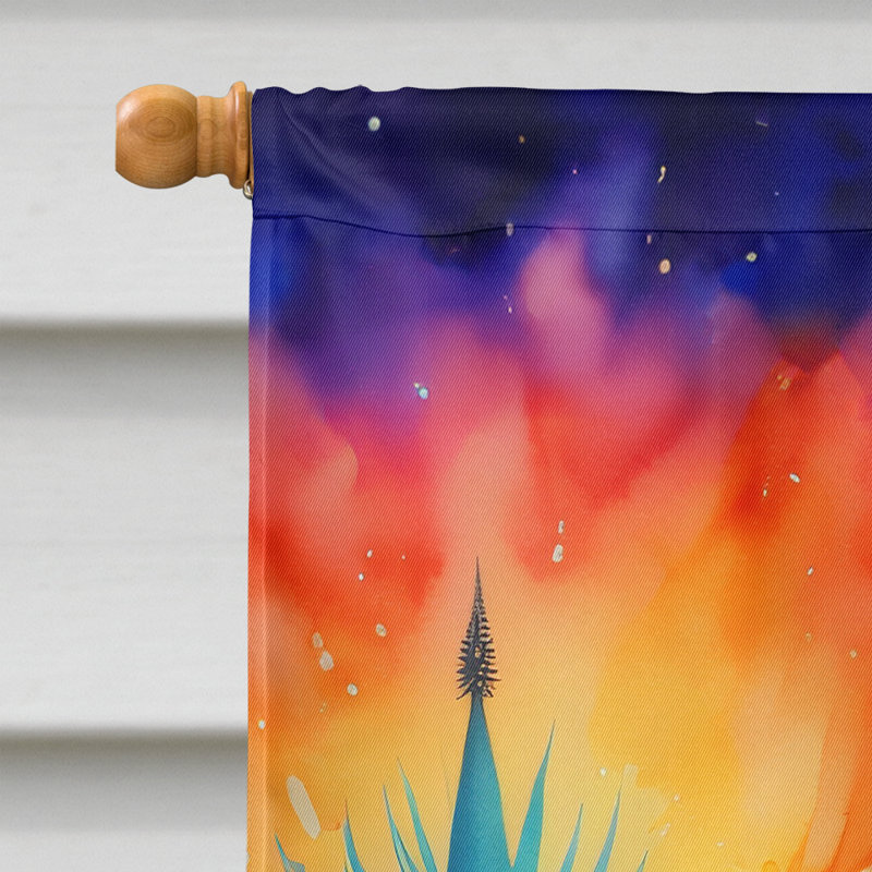 Drapeau de maison en polyester à double face H 40 po x l 28 po