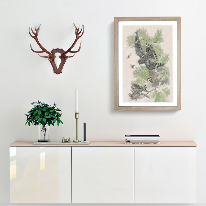 Night Hawks by John Audubon - Picture Frame Painting Print, 36cm H x 27cm W x 2cm D, Oak Framed