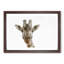Curious Giraffe - Picture Frame Graphic Art Print-56708872-56708873