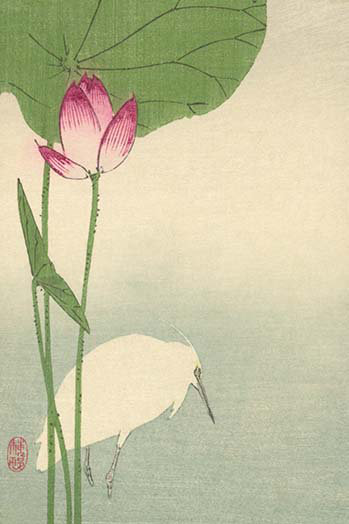 «White Heron and Lotus» par Baison, reproduction d'art, H 30 po x l 20 po