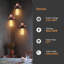 3 - Light Rustic Red Cluster Pendant