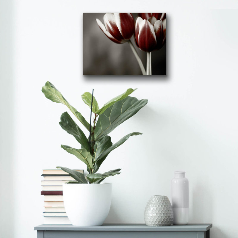 Epic Art «Red Tulips On Grey 01» par Tom Quartermai «Red Tulips On Grey 01» par Tom Quartermaine