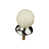 Ivory selected
