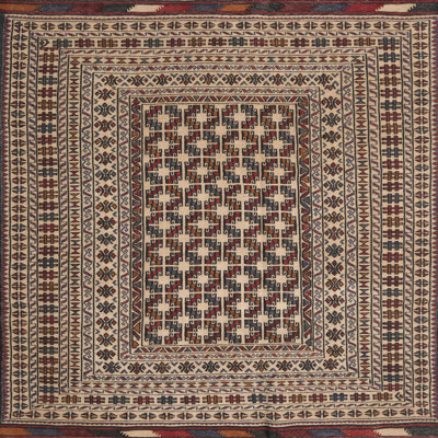 Oriental Indoor Rug