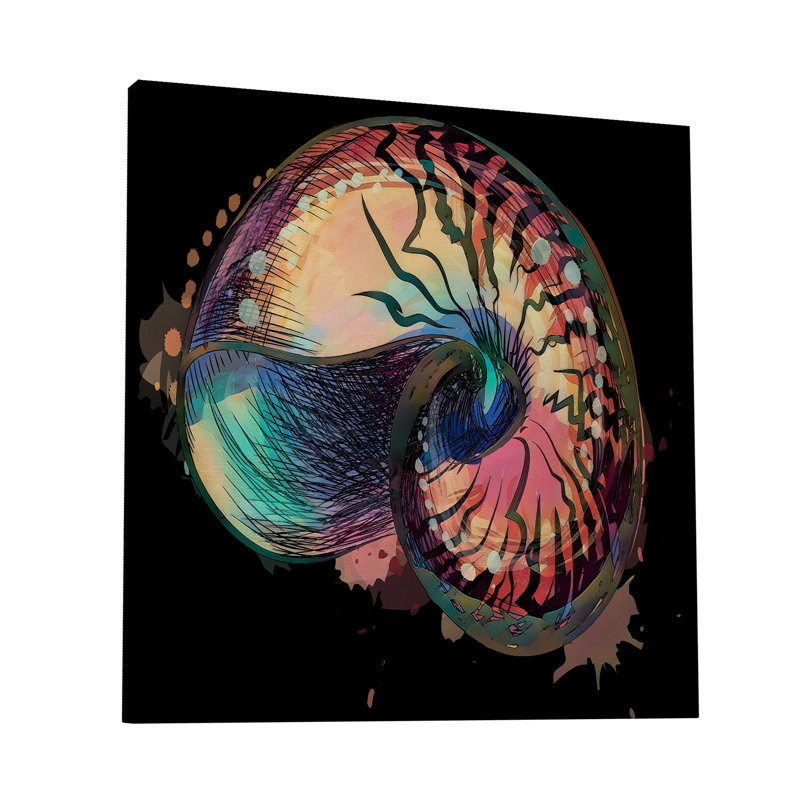 " Boho Nautilus Shell 248 ", 16" H x 16" W x 1.5" D