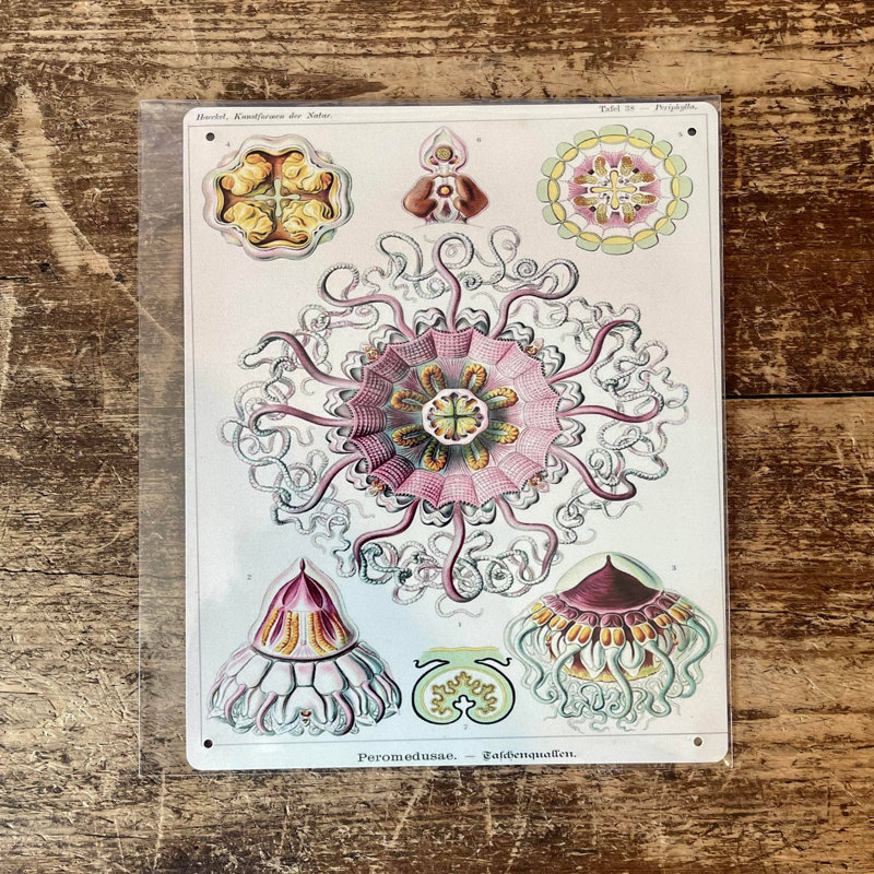Plants & Flowers Wall Decor on Metal, 20cm H x 15cm W