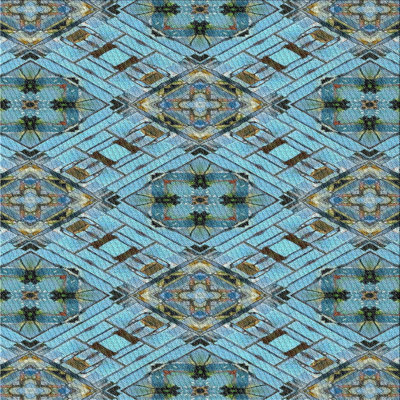 Oriental Indoor Rug