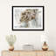 «Daisy Arrangement» - reproduction d'art-52366770-52366772