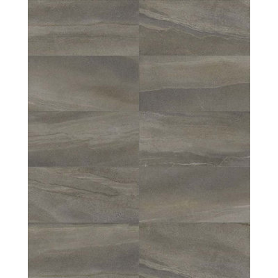 Carreau de champ en porcelaine 12 po x 24 po cameleon Core