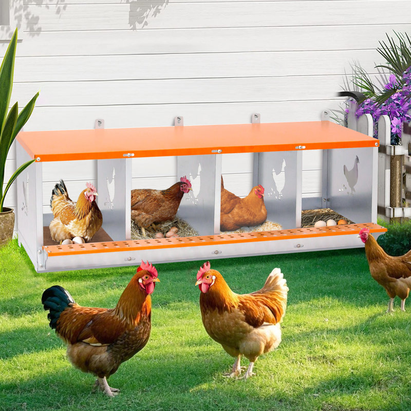 Boîte de nidification murale à 4 compartiments en acier galvanisé orange pour et canards, avec coussin en fibre de noix de coco naturelle, ventilation, installation facile, nettoyage facile