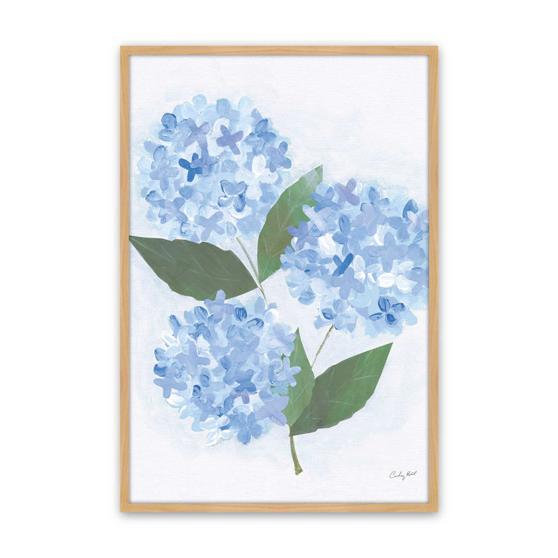 Impression d'art sur papier Providence Hydrangea I par Courtney Prahl, H 16 po x l 12 po, Tanné