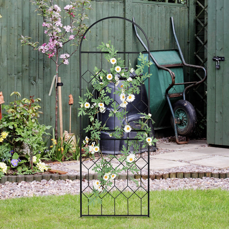 140.9Cm H x 43Cm W Metal Lattice Panel Trellis