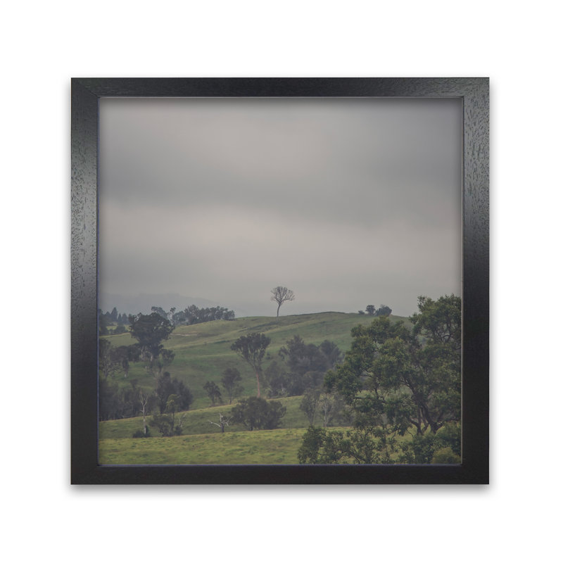 Tree On Top 2 by Nur Mut - Single Picture Frame Print, 60 cm H x 60 cm W, Black