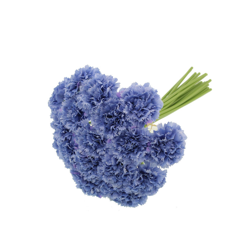Carnation Arrangement, Blue