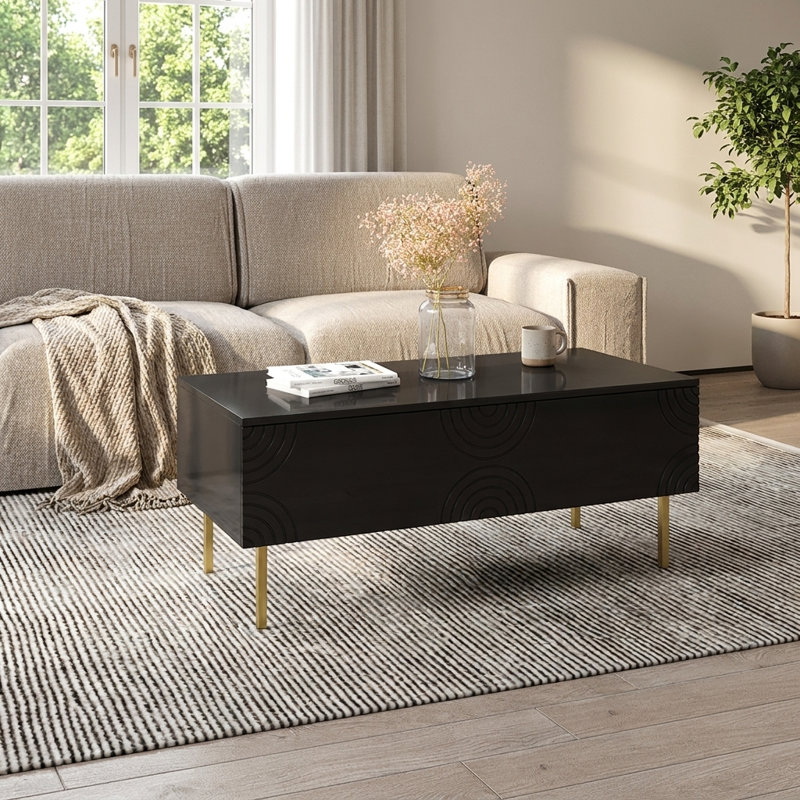 Danyia 47.2" Coffee Table with High Gloss Finish, Black