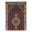 Oriental Area Rug in Red