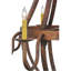 Barrel Stave 8 - Light Chandelier