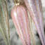 Clover Lane Finial Ornament
