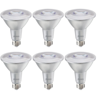 Ampoule à DEL 10 W à intensité variable 10 W PAR75L, blanc chaud (2 700 K) / culot moyen (standard) E26