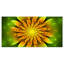 " Bright Yellow Fractal Flower on Green " Graphic Art Print-19241215