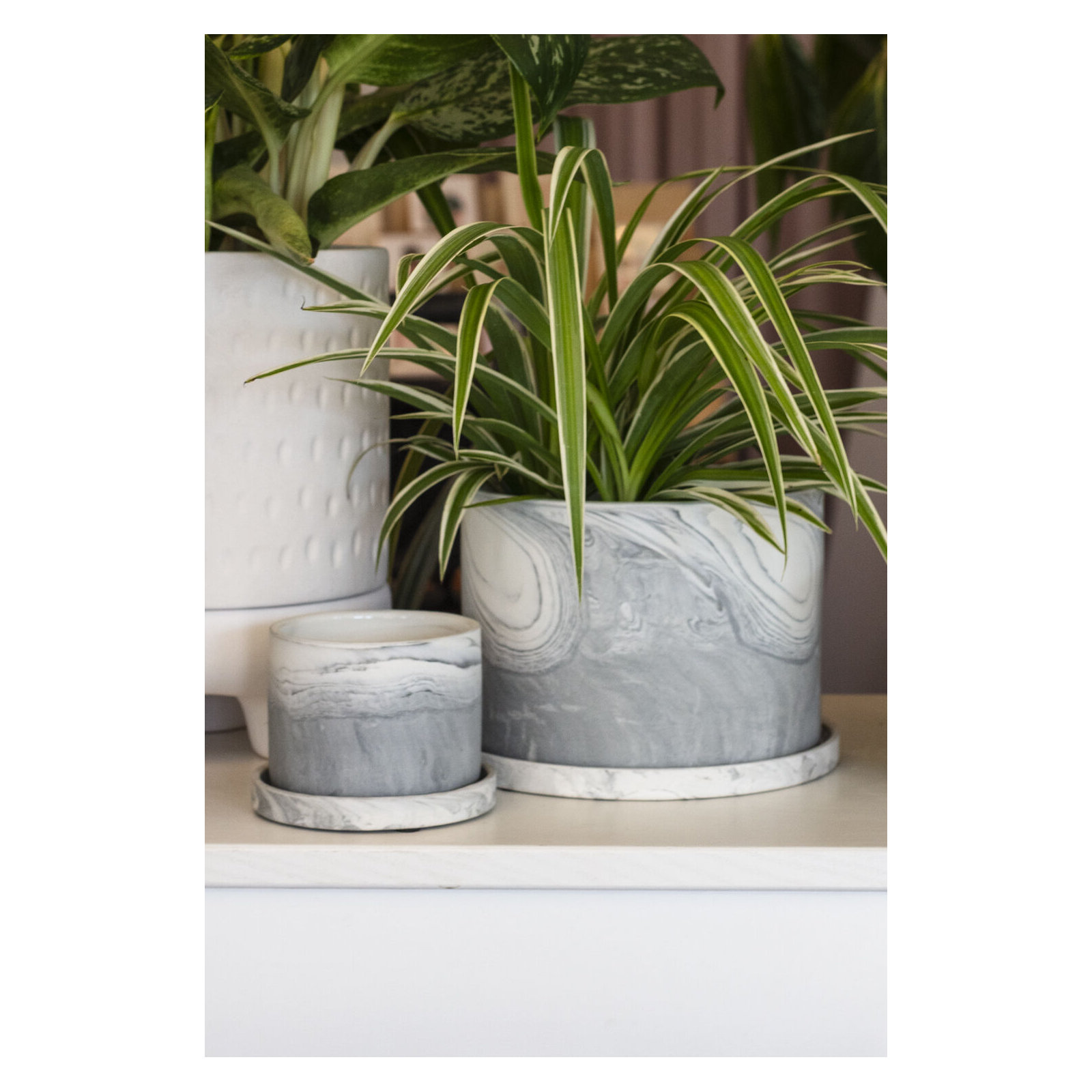 Marengo Pot 5.5"x 4.25"