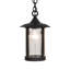 1 - Light Pendant