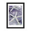 "Verre de mer 1 - mauve" par Alan Blaustein-1936060914-1936060910