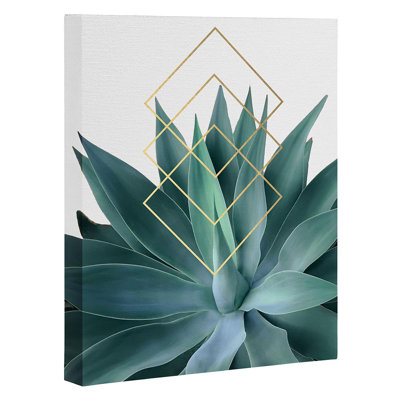 « agave geographical metrics », impression