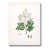 Toile tendue