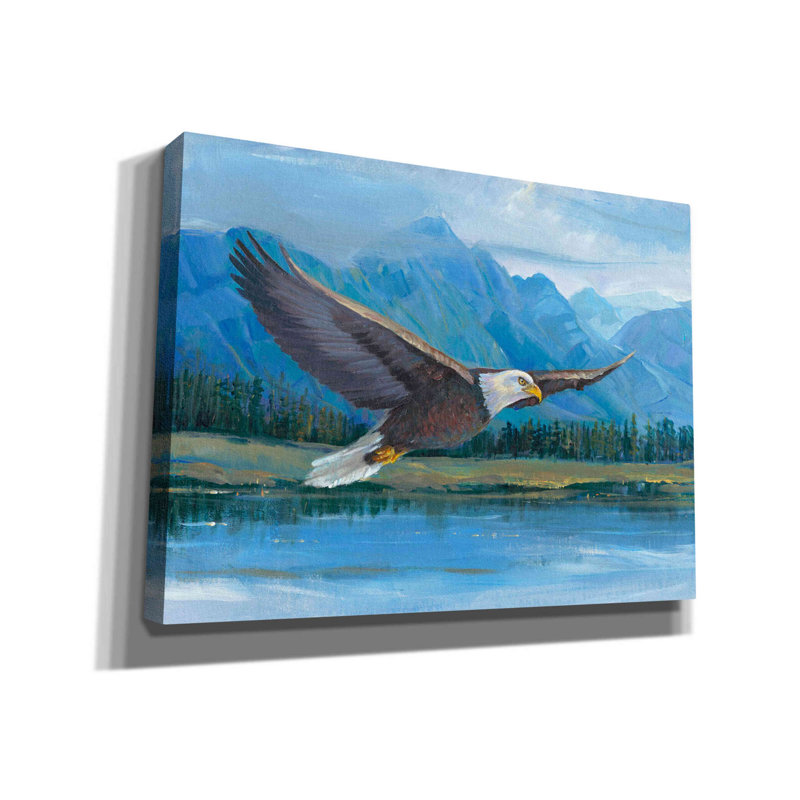 «Eagle Soaring» par Tim O'toole, art mural sur toile, H 18 po x l 26 po x P 0,75 po