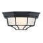 Luminaire plafonnier 8,5 po à 1 lumière avec verre givré avec finition noir mat-1976388615